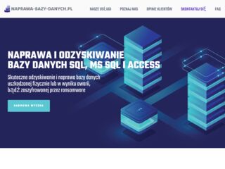 https://naprawa-bazy-danych.pl